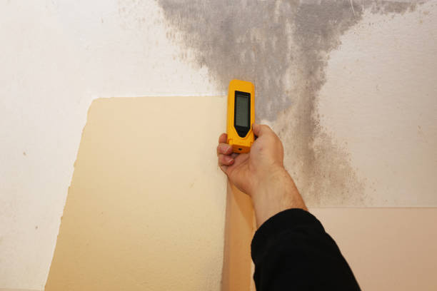 Best Indoor Air Quality Assessment  in Kingston, NJ