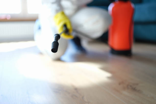 Best Environmental Consulting for Mold Prevention  in Kingston, NJ